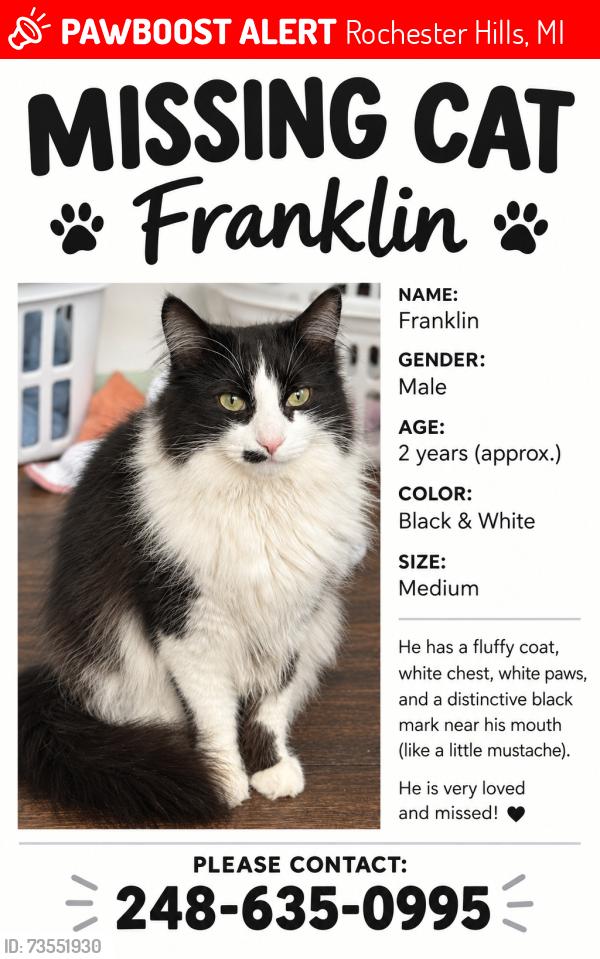 Lost Male Cat last seen North Hill Elementary School, Rochester Hills, MI 48307