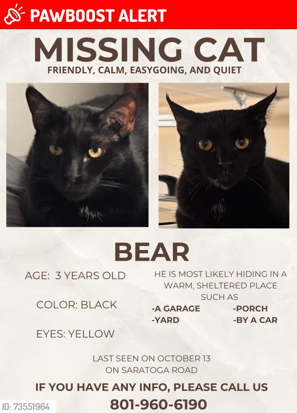 Lost Male Cat last seen Batten Ct & Northshore Dr, Saratoga Springs, UT 84045