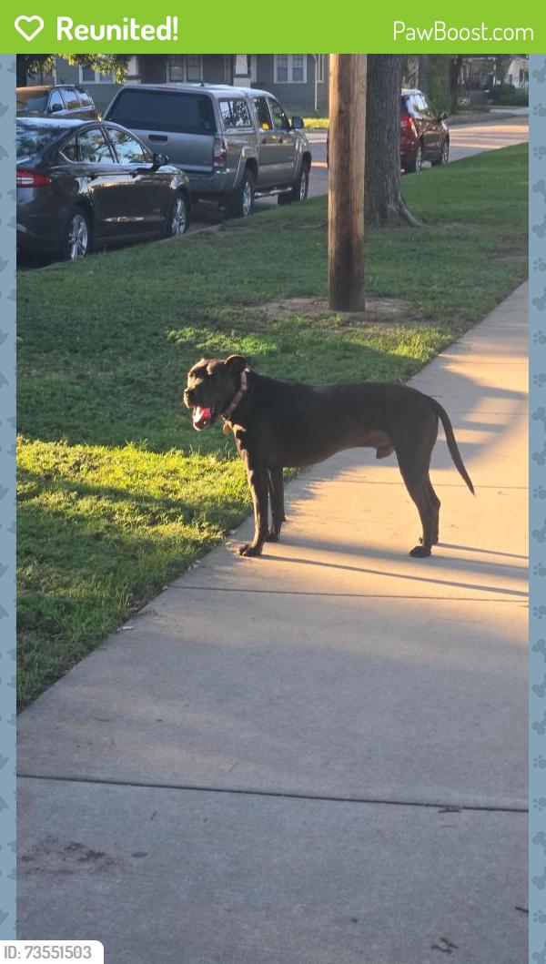 Reunited Male Dog last seen 34th & Everett St, Wichita, KS 67217