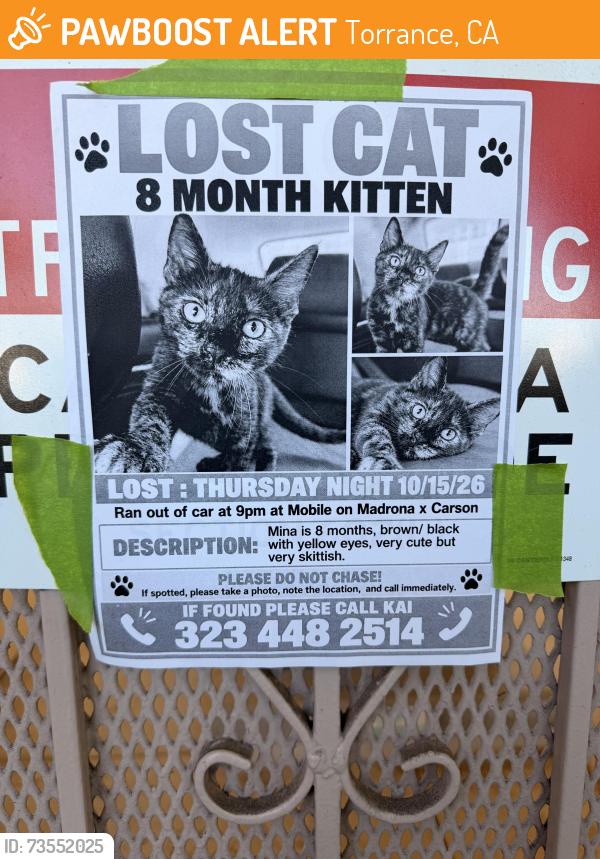 Found/Stray Unknown Cat last seen Mobil gas station, Torrance, CA 90503