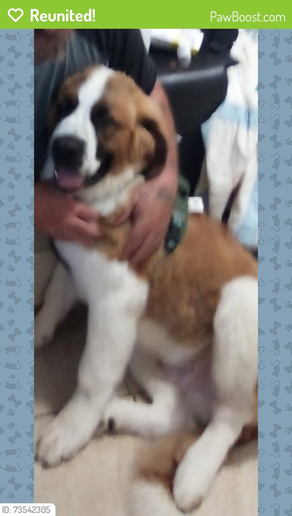 Reunited Male Dog last seen Tulare & Cedar, Fresno, CA 93702