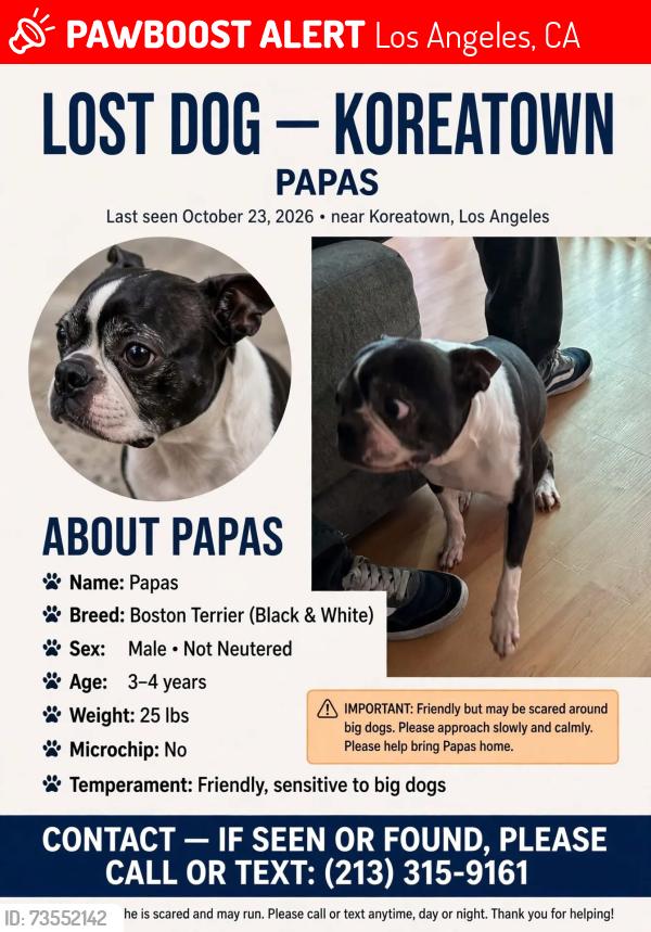 Lost Male Dog last seen 3rd and kenmore, Los Angeles, CA 90004