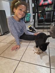 Reunited Male Cat last seen Cranberry lane and Parsons Ave, Brandon, FL 33510