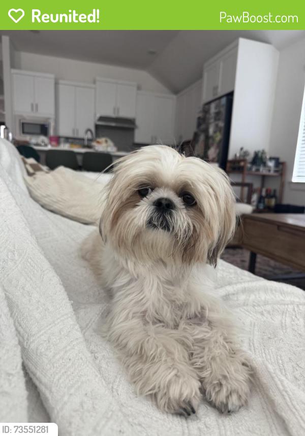 Reunited Male Dog last seen University blvd and CR110, Round Rock, TX 78665
