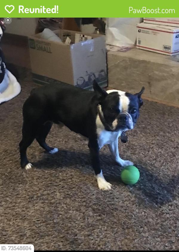 Reunited Male Dog last seen 5th Street at Smallwood Avenue, Downey, CA, Downey, CA 90241