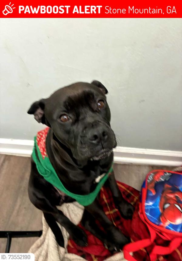 Lost Female Dog last seen North Harrison road, Stone Mountain, GA 30083