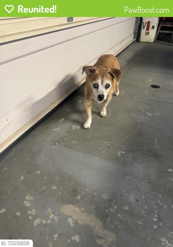 Reunited Male Dog last seen Butterfield and Pauba, Temecula, CA 92592