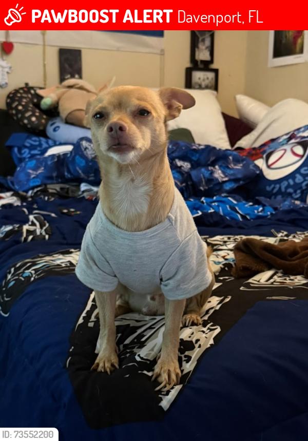 Lost Male Dog last seen Miller landing, Davenport, FL 33837