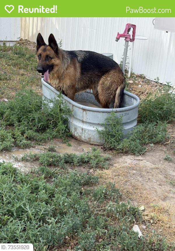 Reunited Male Dog last seen County road 4 and haysmount, Hudson, CO 80642