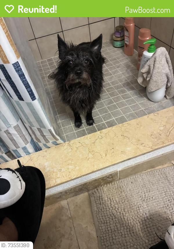 Reunited Female Dog last seen Near Rouen Ave, Winter Park, FL 32789, Winter Park, FL 32789