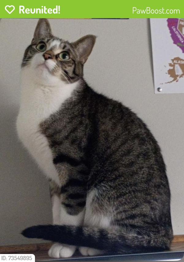 Reunited Male Cat last seen Yorktown Pl & Trenton. Cub on Diffley, Eagan, MN 55123