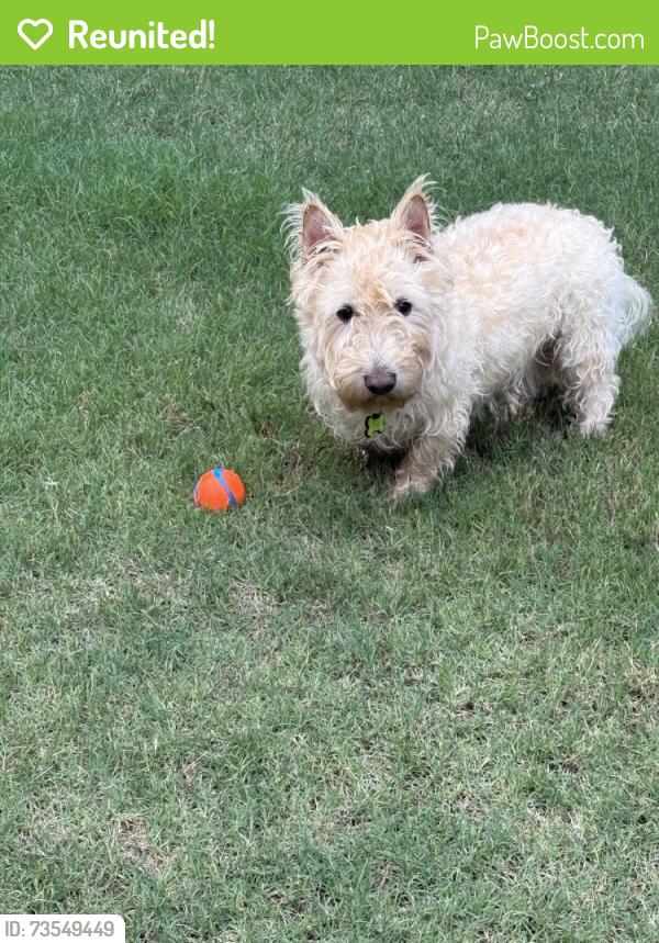 Reunited Male Dog last seen Near Mill Pond Rd, Newborn, GA 30056, USA, Newborn, GA 30056