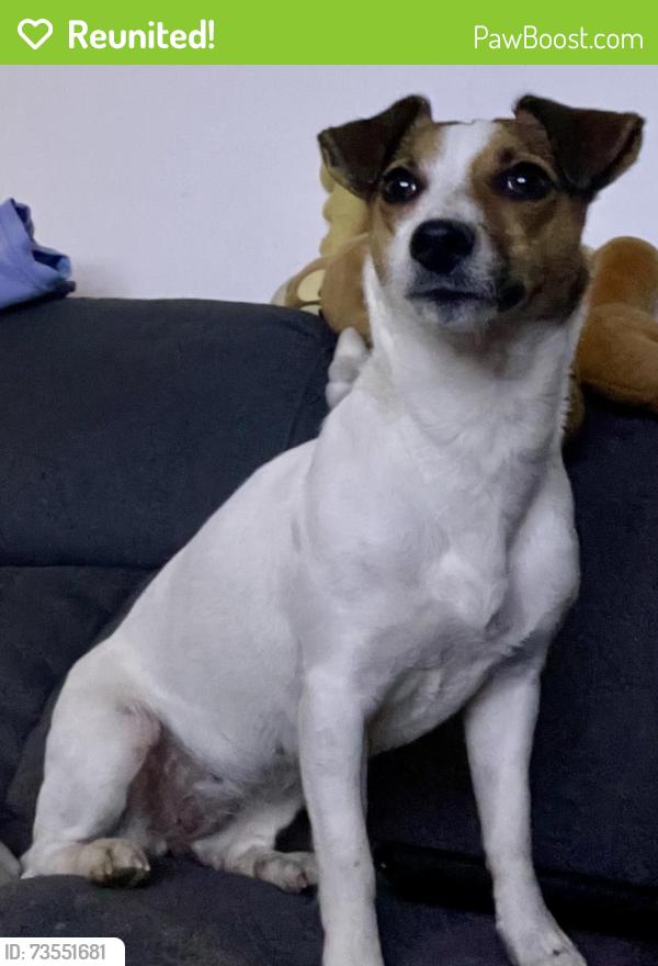 Reunited Female Dog last seen Barnum Avenue, Bridgeport, CT 06604