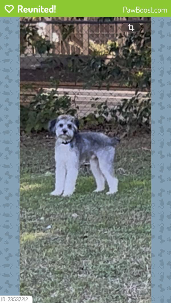 Reunited Male Dog last seen Rv park, Willow Grove, TX 76712
