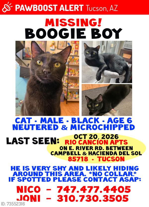 Lost Male Cat last seen Near E. River Rd, between N. Campbell Ave. and Hacienda del Sol, Tucson, AZ 85718