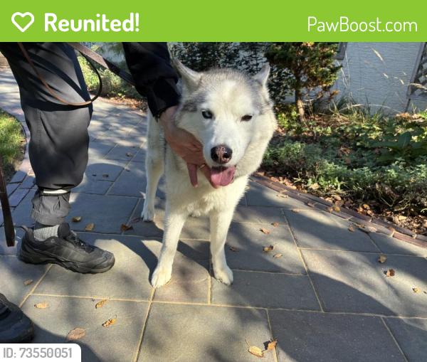 Reunited Female Dog last seen Bembridge Road and Kirkley Road, Columbus, OH 43221