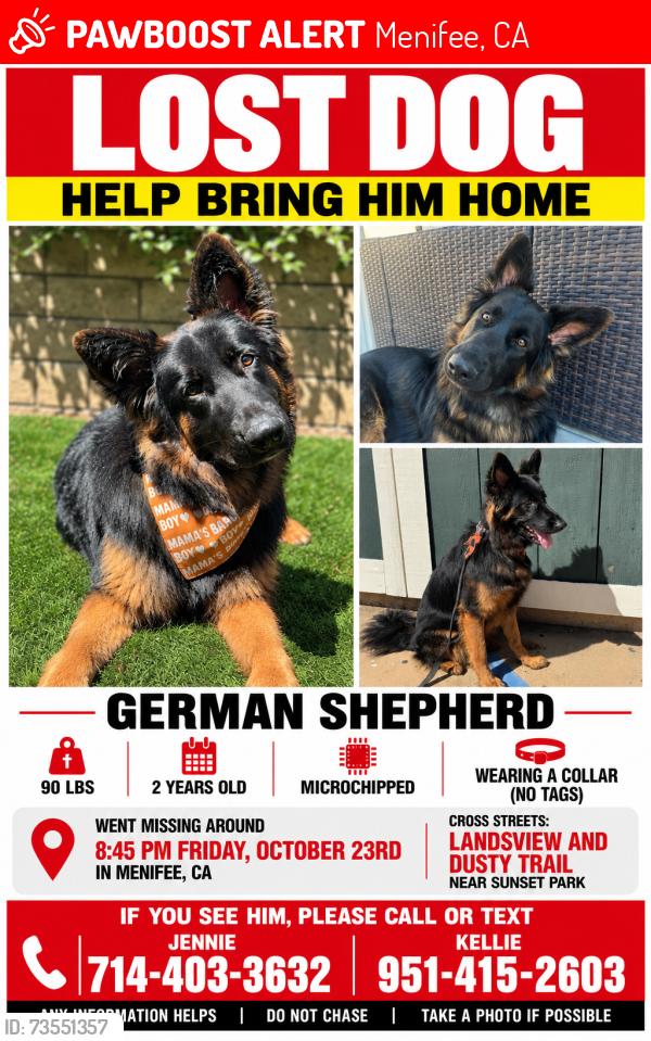 Lost Male Dog last seen Landsview and Dusty Trail, Menifee, CA 92587