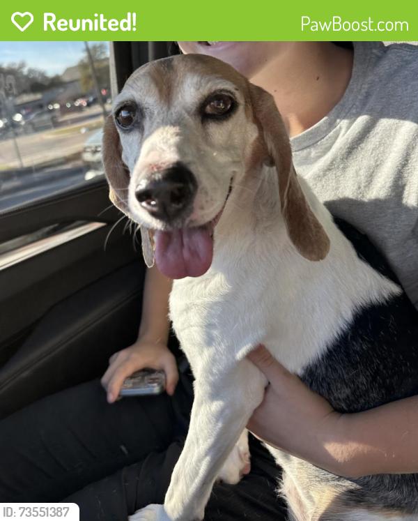 Reunited Unknown Dog last seen Lovers/ Skillman, Dallas, TX 75214
