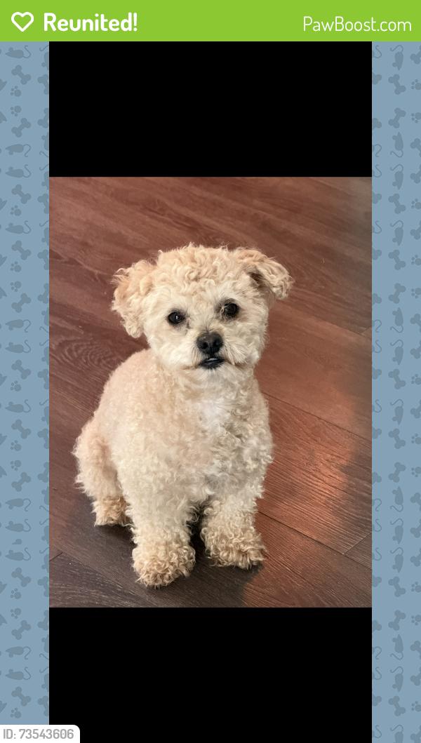 Reunited Male Dog last seen Near 50th Street S, Birmingham, AL 35222