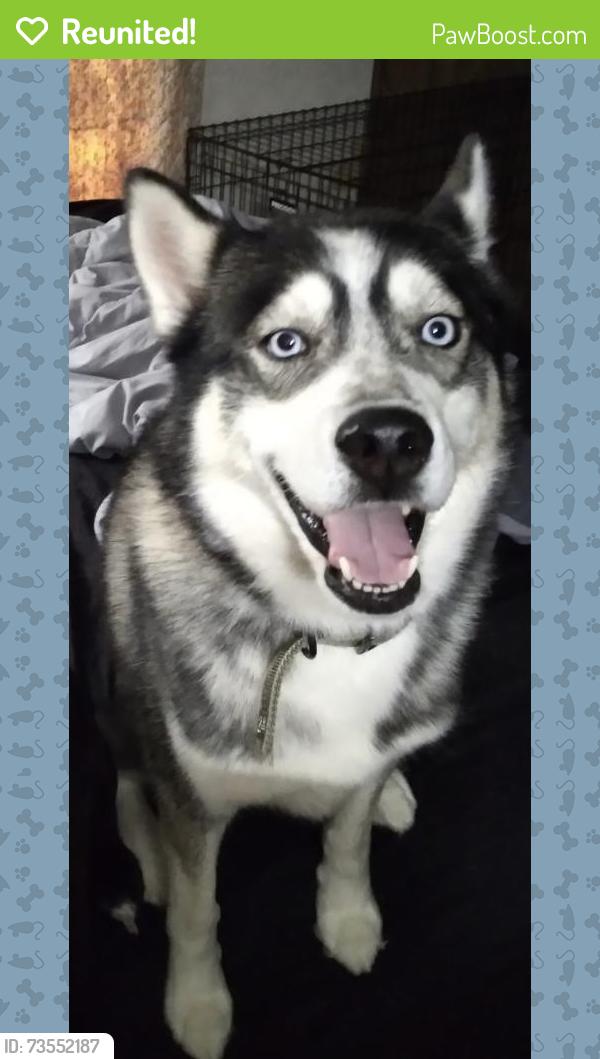 Reunited Male Dog last seen martindale rd, Englewood, OH 45322