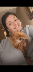 Lost Female Dog last seen Steepleway and West rd., Steeplechase, TX 77065