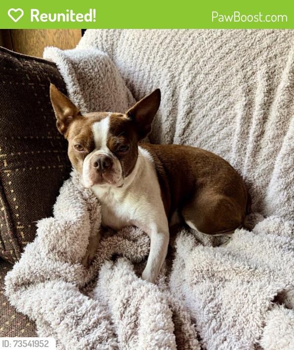 Reunited Female Dog last seen Bryant Lake dog park exterior, Eden Prairie, MN 55344