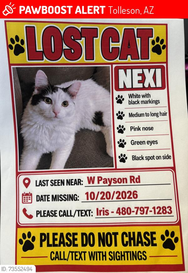 Lost Female Cat last seen W Payson rd, Tolleson, AZ 85353