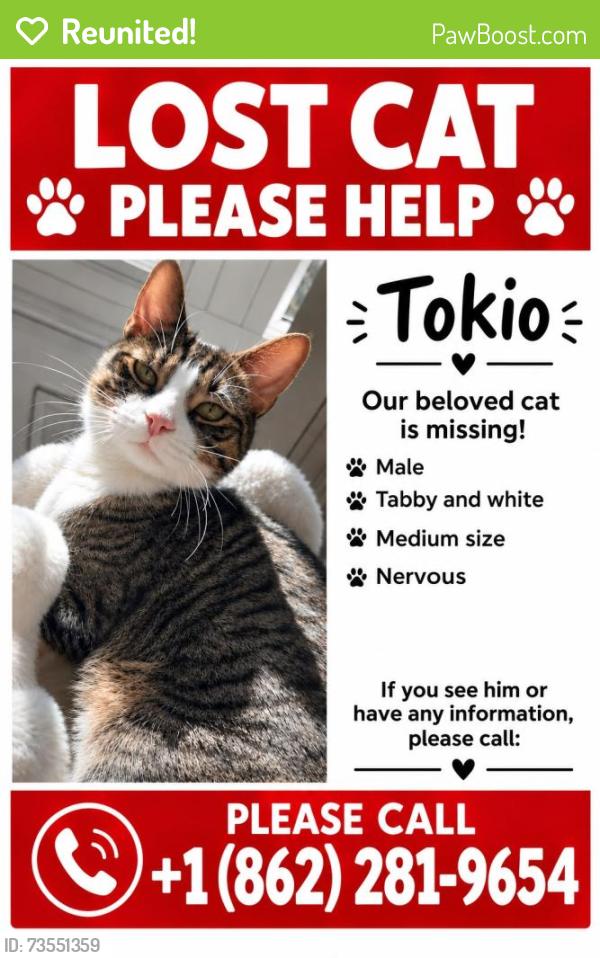 Reunited Male Cat last seen Near weller terrace saddle brook nj, Saddle Brook, NJ 07644