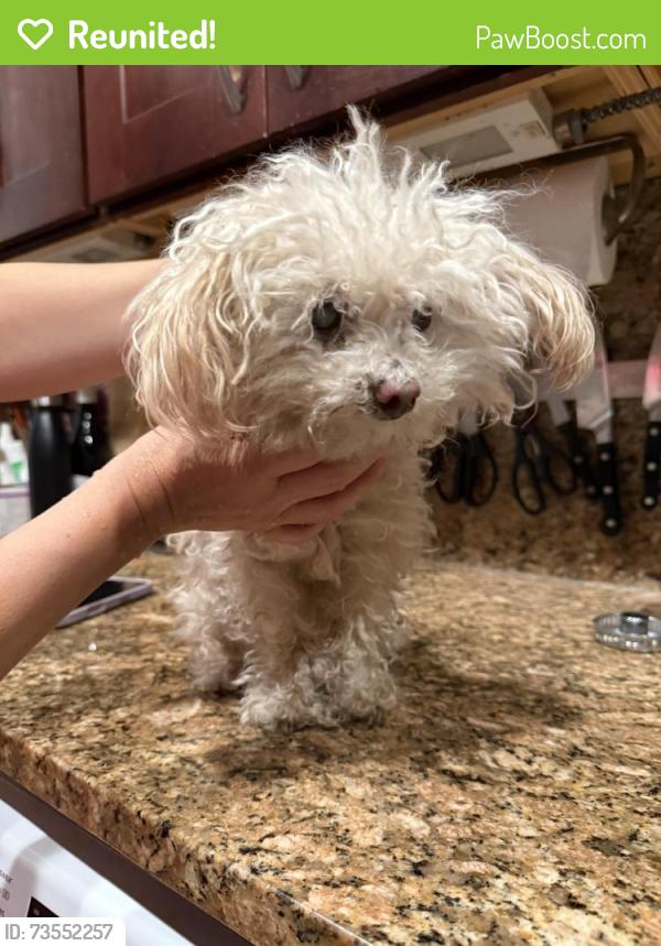 Reunited Male Dog last seen La harve whitestone / Beechhurst, Queens, NY 11357