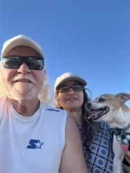 Reunited Male Dog last seen Kooser and Ardmore , Carter / Camden ave, San Jose, CA 95118