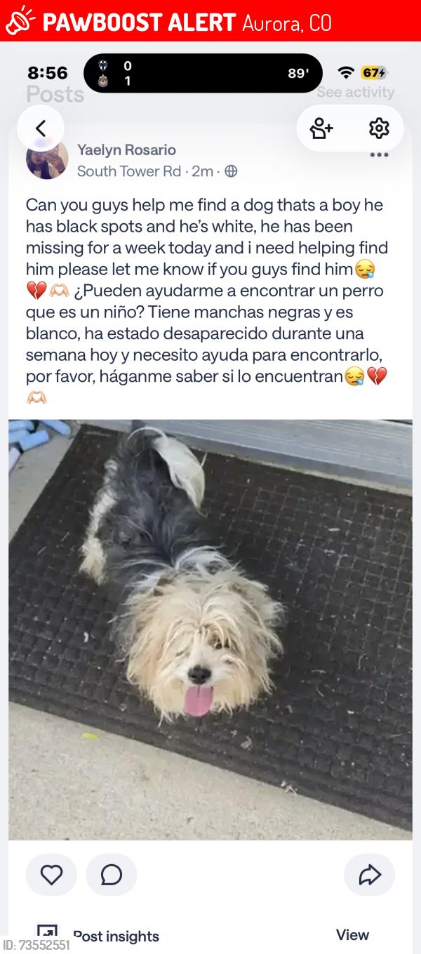 Lost Male Dog last seen Near E montana dr, Aurora, CO 80017