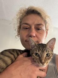 Lost Female Cat last seen Mandalay ave and ivanhoe, Cleveland, OH 44110