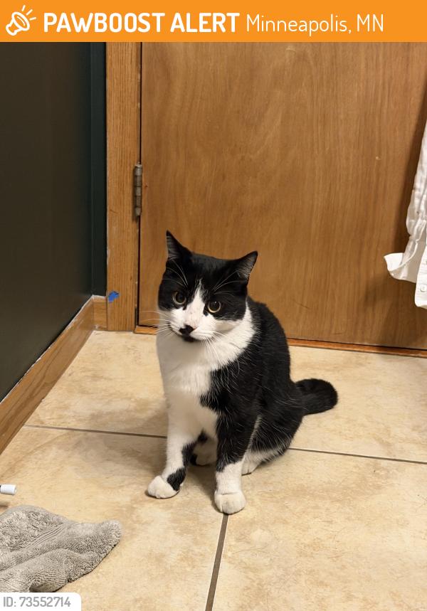 Found/Stray Female Cat last seen Central Ave near 33rd Ave, Minneapolis, MN 55418