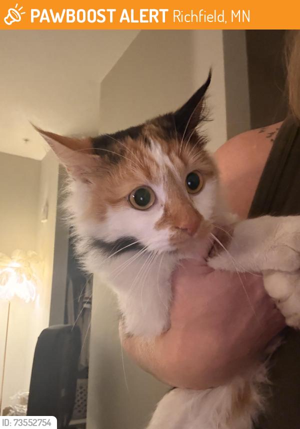 Found/Stray Unknown Cat last seen 66th and Richfield pkwy, Richfield, MN 55423