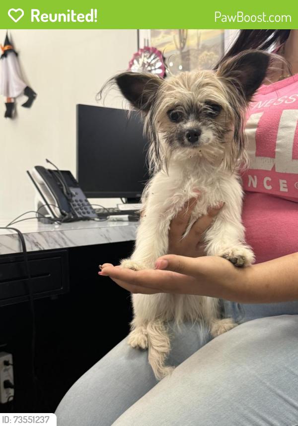 Reunited Male Dog last seen AALL INSURANCE, Phoenix, AZ 85040