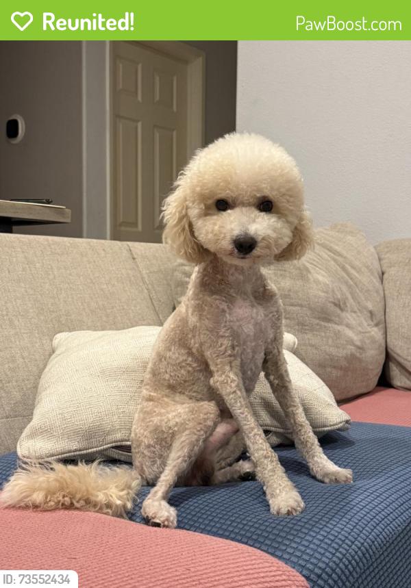 Reunited Male Dog last seen Near Gatwick Ave, Fontana, CA 92336, USA, Fontana, CA 92336