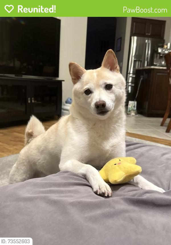 Reunited Female Dog last seen Pauba and Anza, Temecula, CA 92592