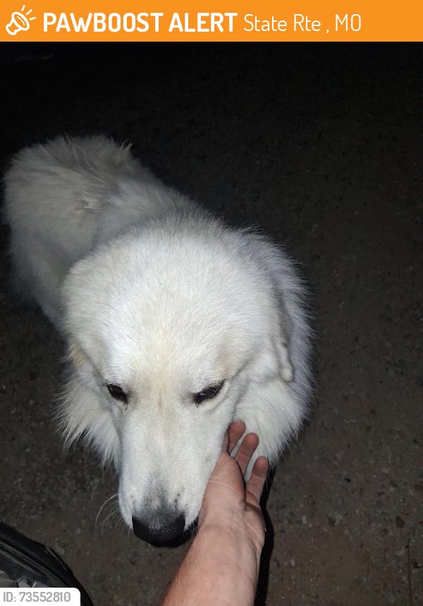 Found/Stray Unknown Dog last seen near Highway 30, Robertsville, MO, State Rte 30, MO 63049