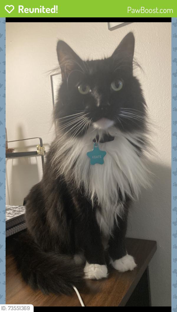 Reunited Male Cat last seen Yaqui, Hopi, Tahoe, Coachway, Florissant, MO 63031