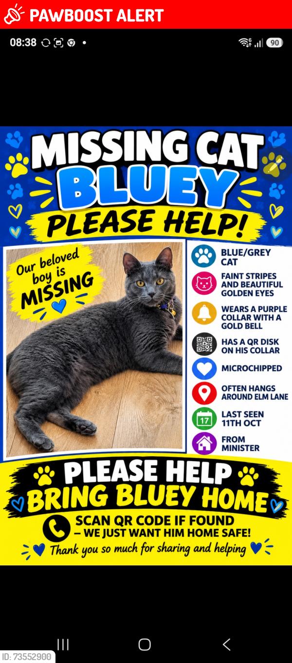 Lost Male Cat last seen Elm Lane minster on sea, Minster on Sea, England 
