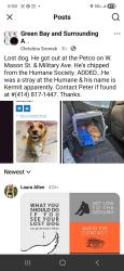 Lost Male Dog last seen Near W. Mason St. & Military Ave. at Petco., Green Bay, WI 54303