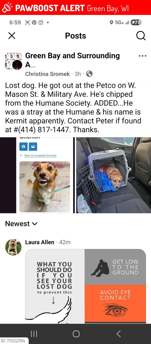 Lost Male Dog last seen Near W. Mason St. & Military Ave. at Petco., Green Bay, WI 54303