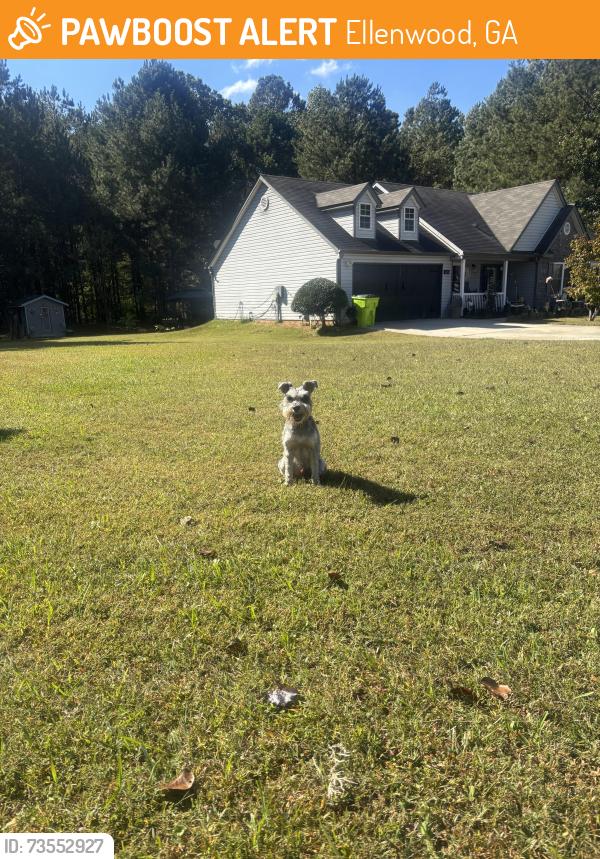 Found/Stray Male Dog last seen In my yard, Ellenwood, GA 30273