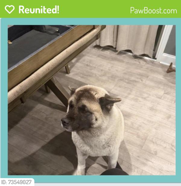 Reunited Female Dog last seen Grays Ln, Angier, NC 27501, USA, Angier, NC 27501