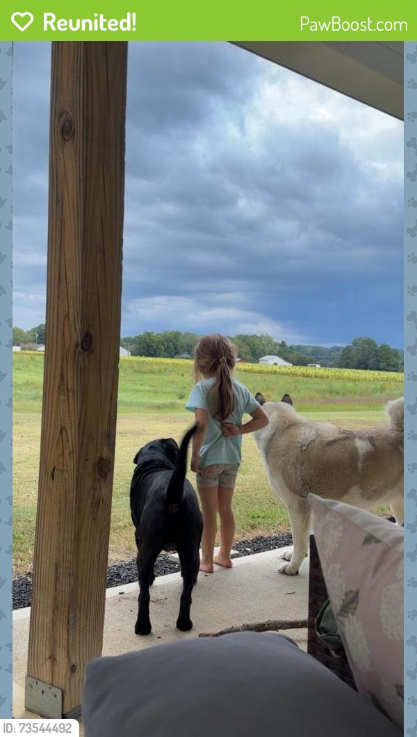 Reunited Female Dog last seen Near Grays Ln, Angier, NC 27501, USA, Angier, NC 27501
