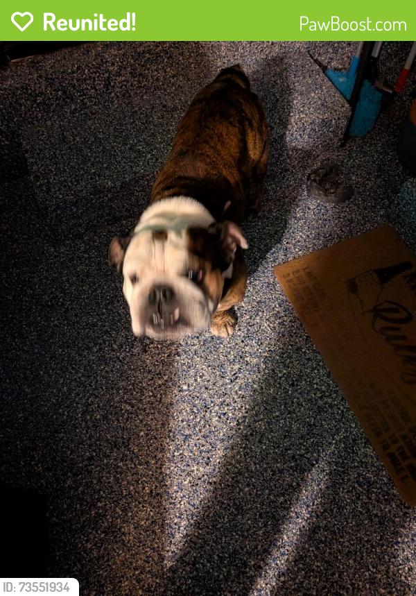 Reunited Male Dog last seen Tolomato and Gentian Road, Saint Augustine South, FL 32086