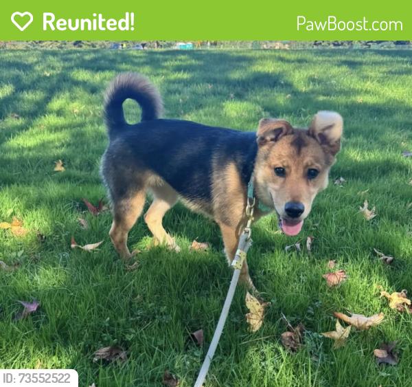 Reunited Male Dog last seen Ravine and Farm Ave, New Castle County, DE 19810