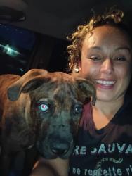 Lost Male Dog last seen Near 4th avenue South, Minneapolis, MN 55408