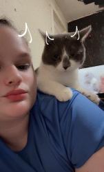 Lost Male Cat last seen St. Mary’s Cemetery, Clayville, NY 13456