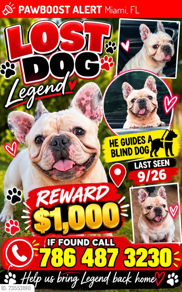 Lost Male Dog last seen 180th t, Miami, FL 33169